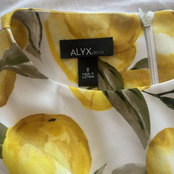 Alyx dress with lemons 🍋 - Picture 4 of 8